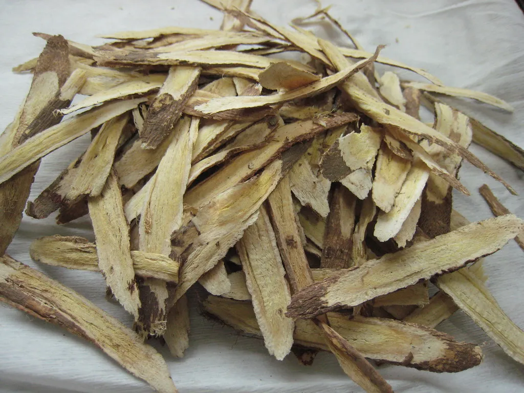 Dried astragalus root slices