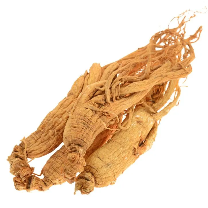 Dried Siberian ginseng root