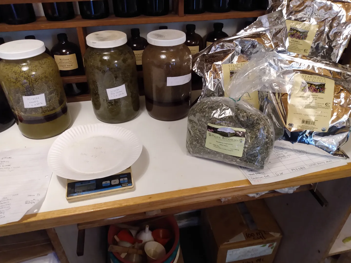 Herb jars, a scale and bags of dried herbs on an apothecary counter