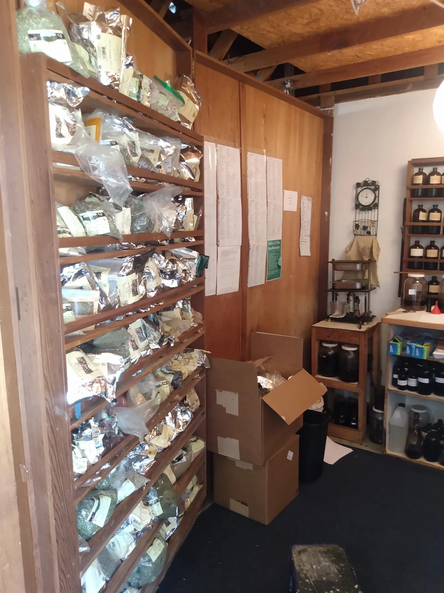 Shelves of bagged dried herbs in an apothecary