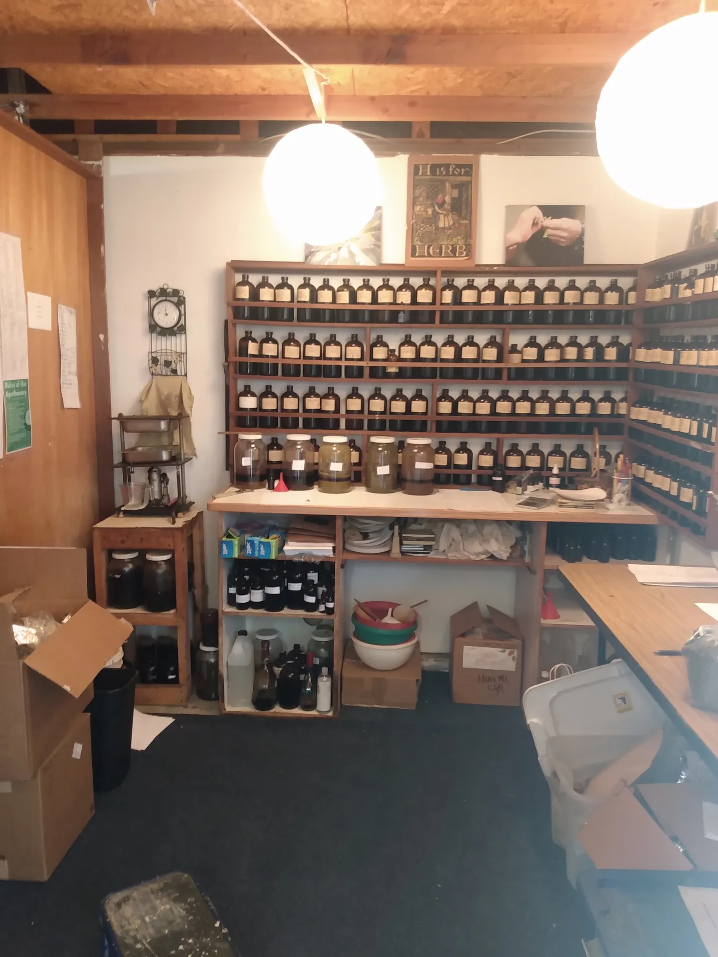 Inside an herbal apothecary with shelves of jars