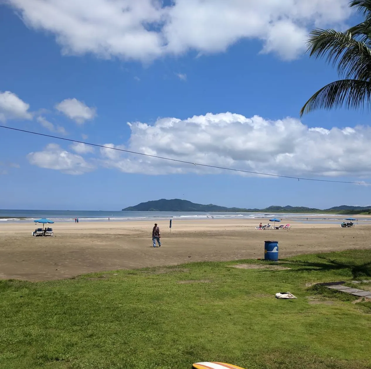 Beach in Costa Rica with palm trees and blue sky