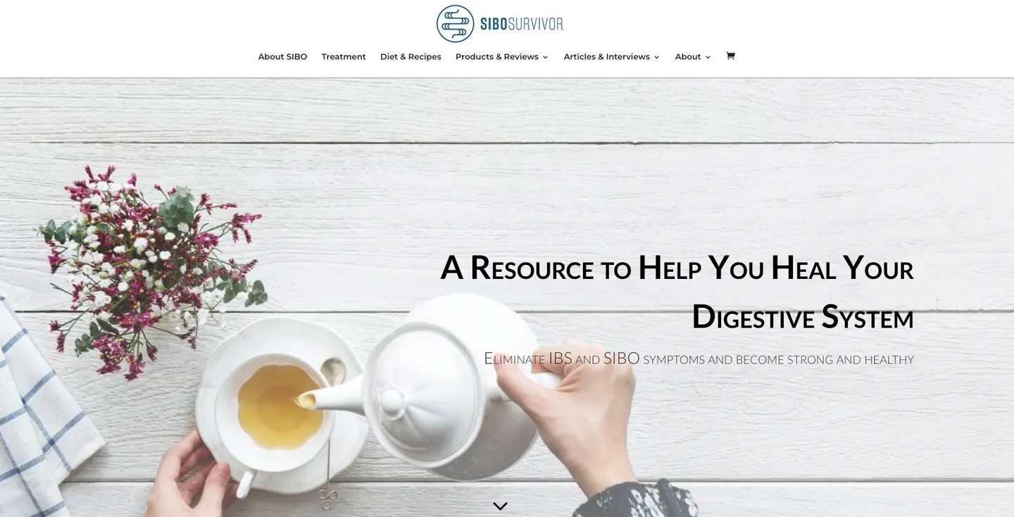 Homepage of the gut health website, “A resource to help you heal your digestive system”
