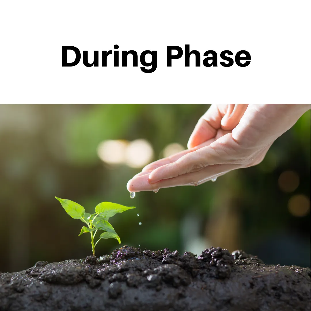 During phase: hand watering a sprouting plant
