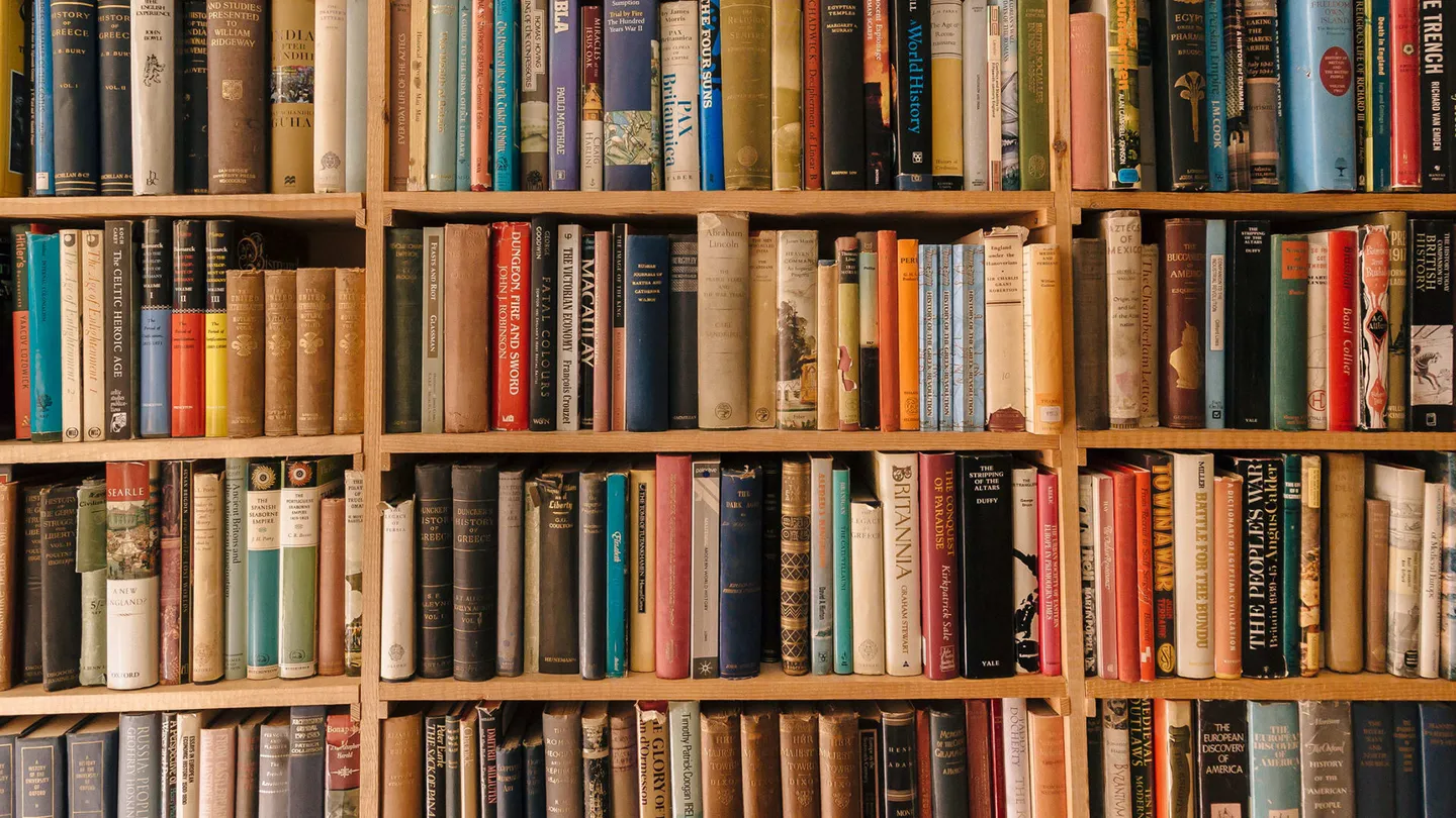 Bookshelves full of books