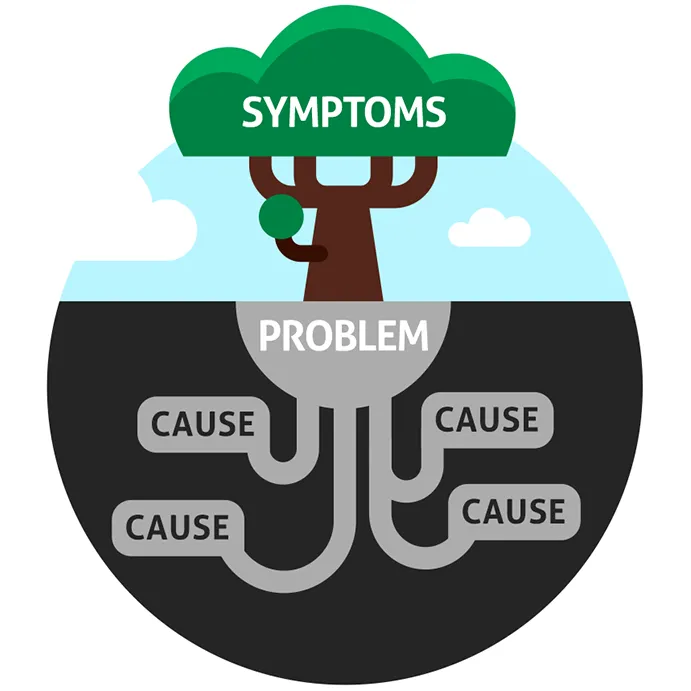 Tree showing symptoms above ground and problem causes in the roots