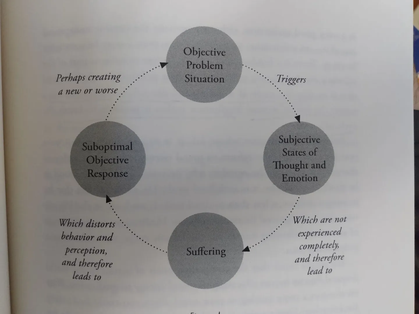 Book diagram of the cycle of suffering