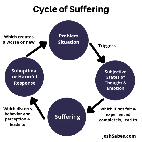 Cycle of suffering: problem situation, subjective states, suffering and harmful response
