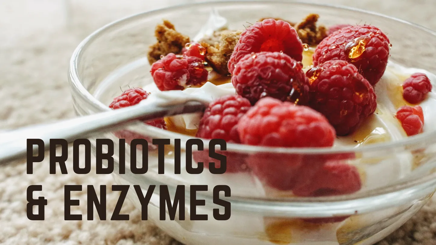 Probiotics and enzymes: yogurt with raspberries