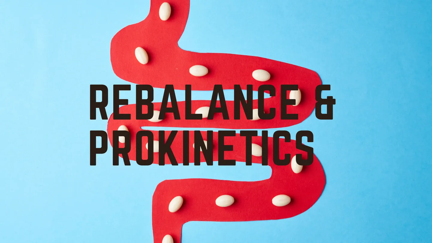Rebalance and prokinetics: illustration of the intestines