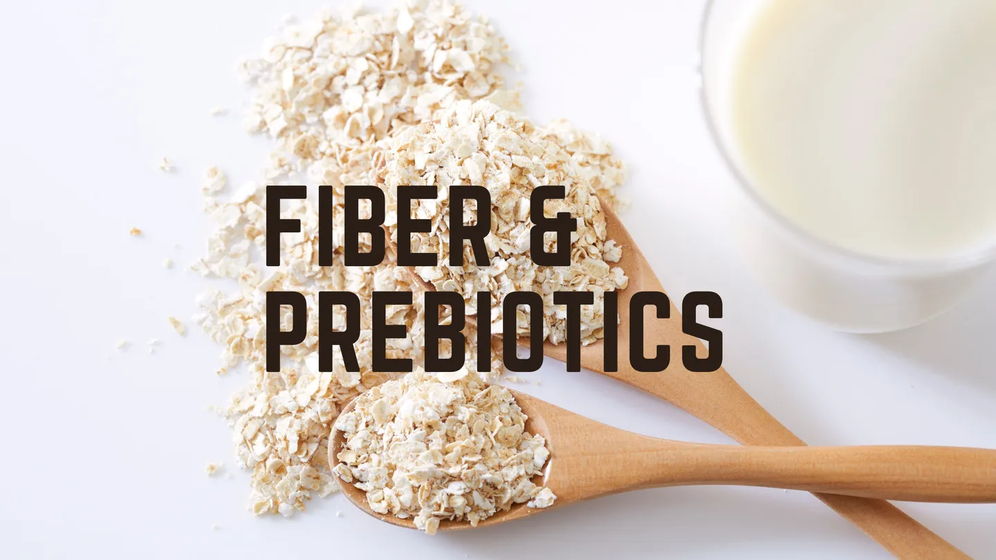 Fiber and prebiotics: oats on a spoon