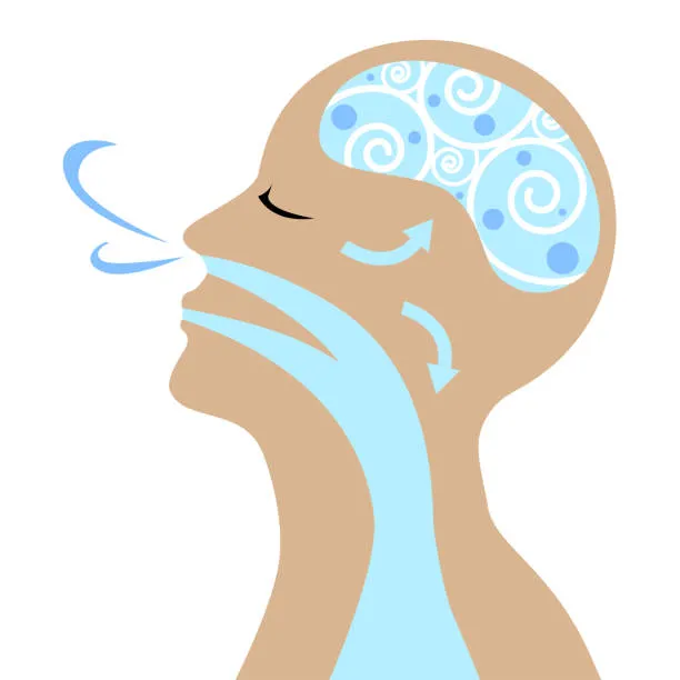Illustration of a person breathing in through the nose